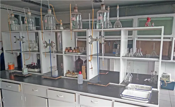 folic acid factory